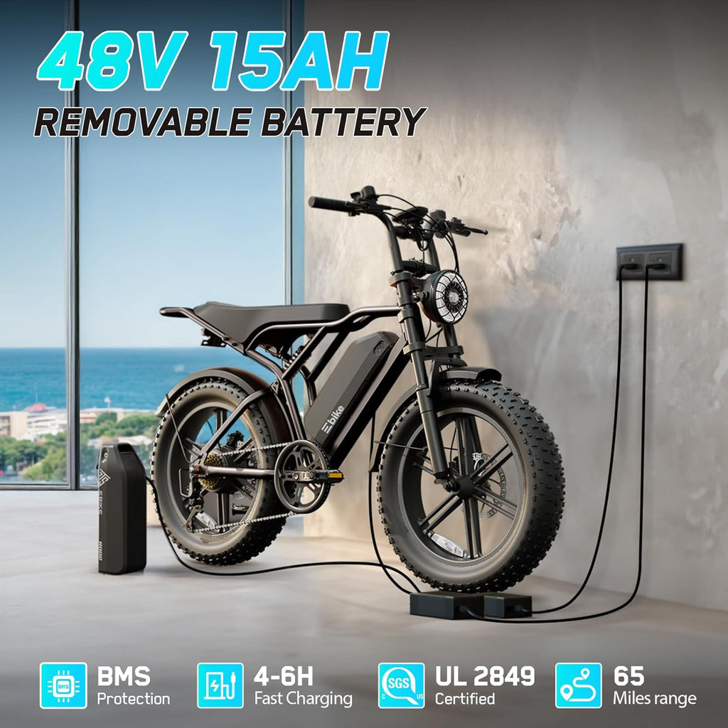 TST R002 Electric Bike